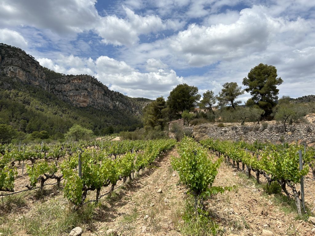 Finca Les Planes de Herència Ruyet, viña en La Vilella Baixa, Priorat